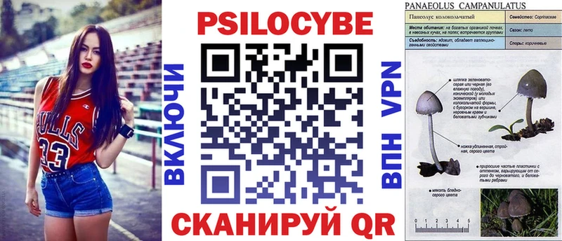 наркотики  Калуга  Псилоцибиновые грибы Magic Shrooms 